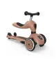 Preview: Roller Laufrad Kombination Scoot & Ride Highwaykick 1 Push & Go